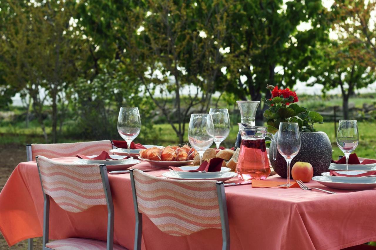 فيلا Easyliving House Near Zadar بوسيدارجي المظهر الخارجي الصورة