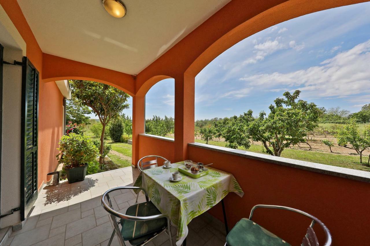 فيلا Easyliving House Near Zadar بوسيدارجي المظهر الخارجي الصورة